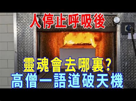 火化過程是否靈魂已跑走|2024 火化禮儀中的行為準則：要不要跑？